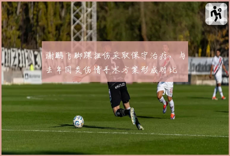 谢鹏飞脚踝扭伤采取保守治疗，与去年同类伤情手术方案形成对比
