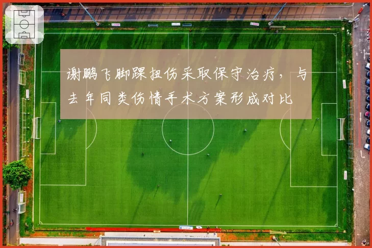 谢鹏飞脚踝扭伤采取保守治疗,与去年同类伤情手术方案形成对比