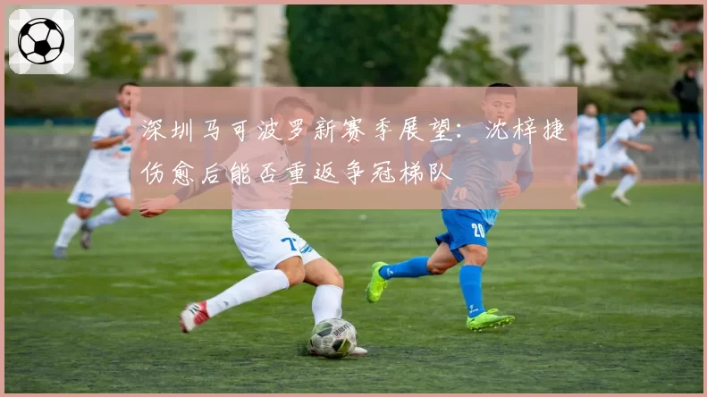 深圳马可波罗新赛季展望：沈梓捷伤愈后能否重返争冠梯队
