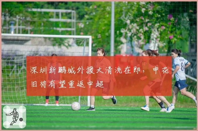 深圳新鹏城外援大清洗在即,申花旧将有望重返中超