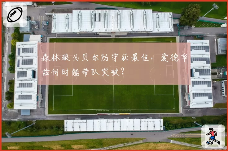 森林狼戈贝尔防守获最佳,爱德华兹何时能带队突破?